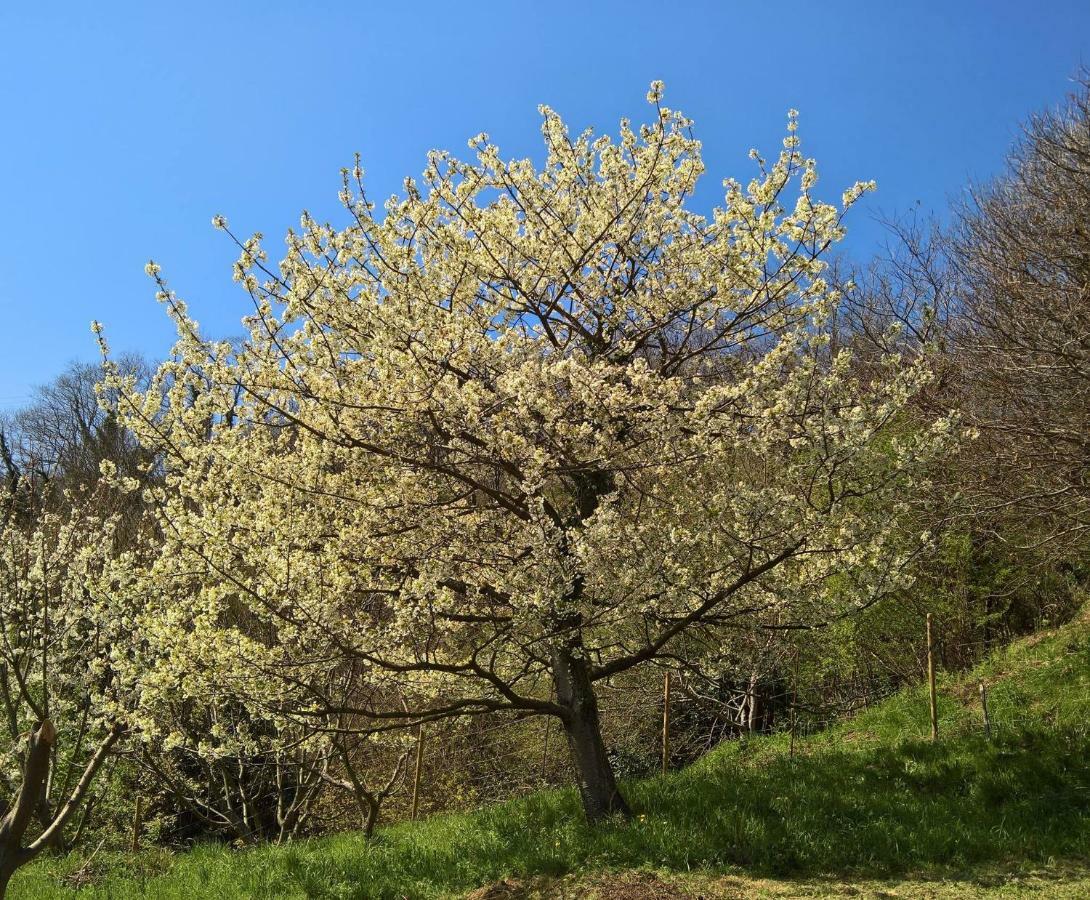 Agriturismo Grilla Villa Mele Luaran gambar