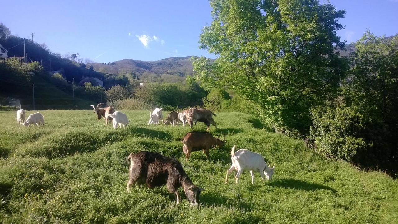 Agriturismo Grilla Villa Mele Bilik gambar